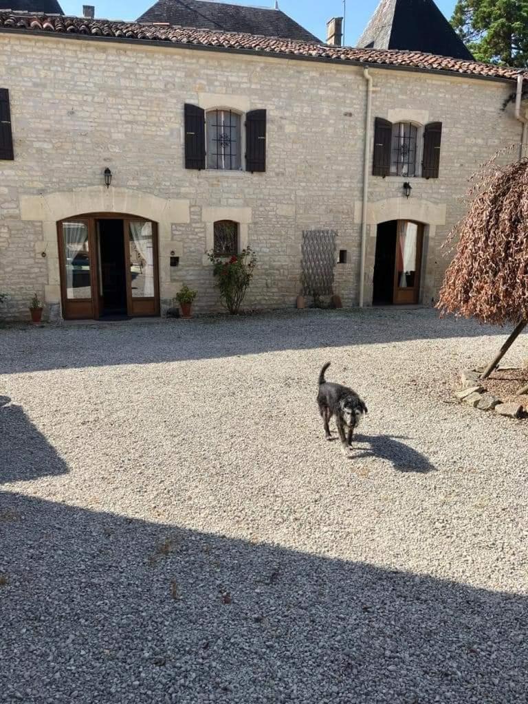 Les Cygnes Noirs Bed & Breakfast Aujac  Exterior foto